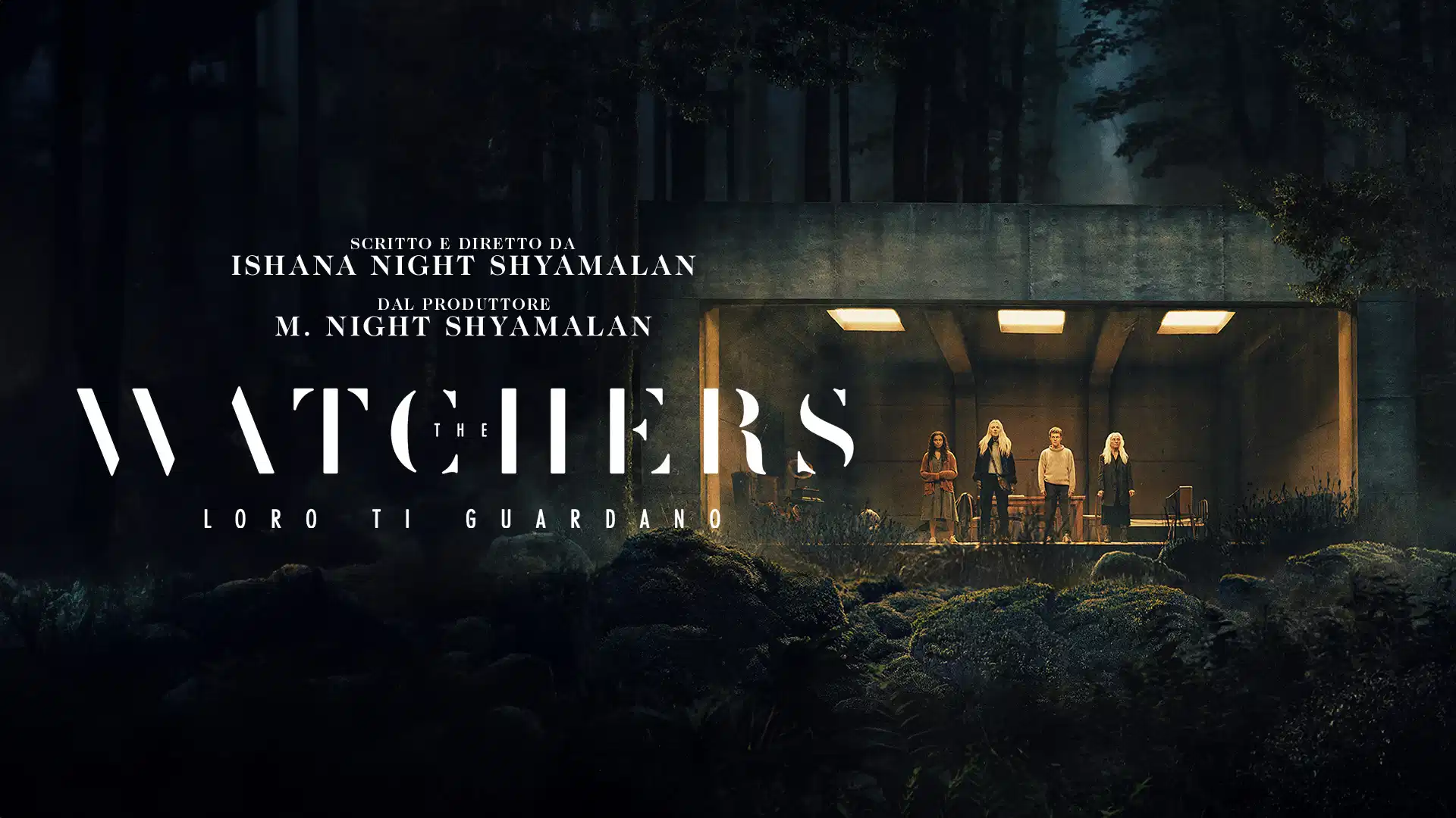 Scopri di più sull'articolo The Watchers: Intrattenimento Soprannaturale con un Climax Coinvolgente