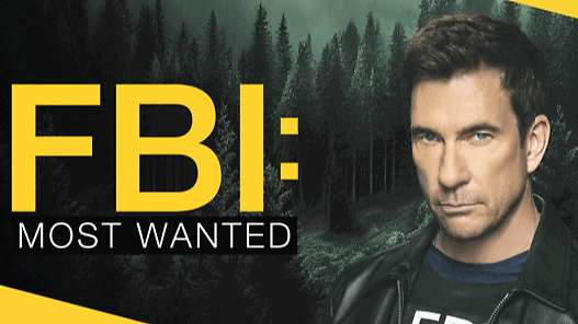 Scopri di più sull'articolo FBI: Most Wanted – L’adrenalina della caccia ai fuggitivi più pericolosi d’America