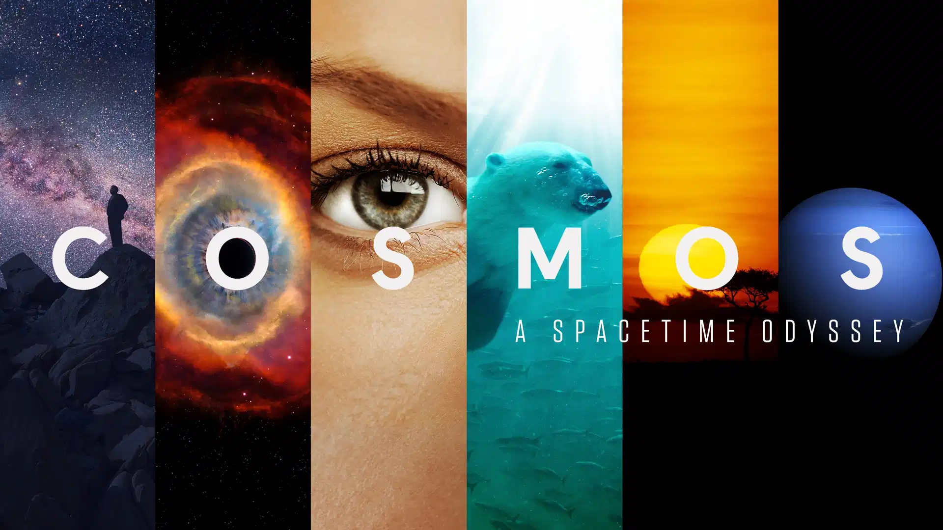 Al momento stai visualizzando Cosmos – Odissea nello spazio – un viaggio tra scienza e meraviglia