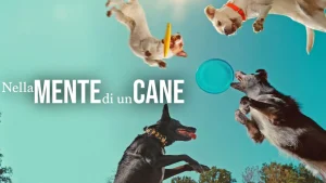 Scopri di più sull'articolo Nella mente di un cane – capire i nostri amici a quattro zampe