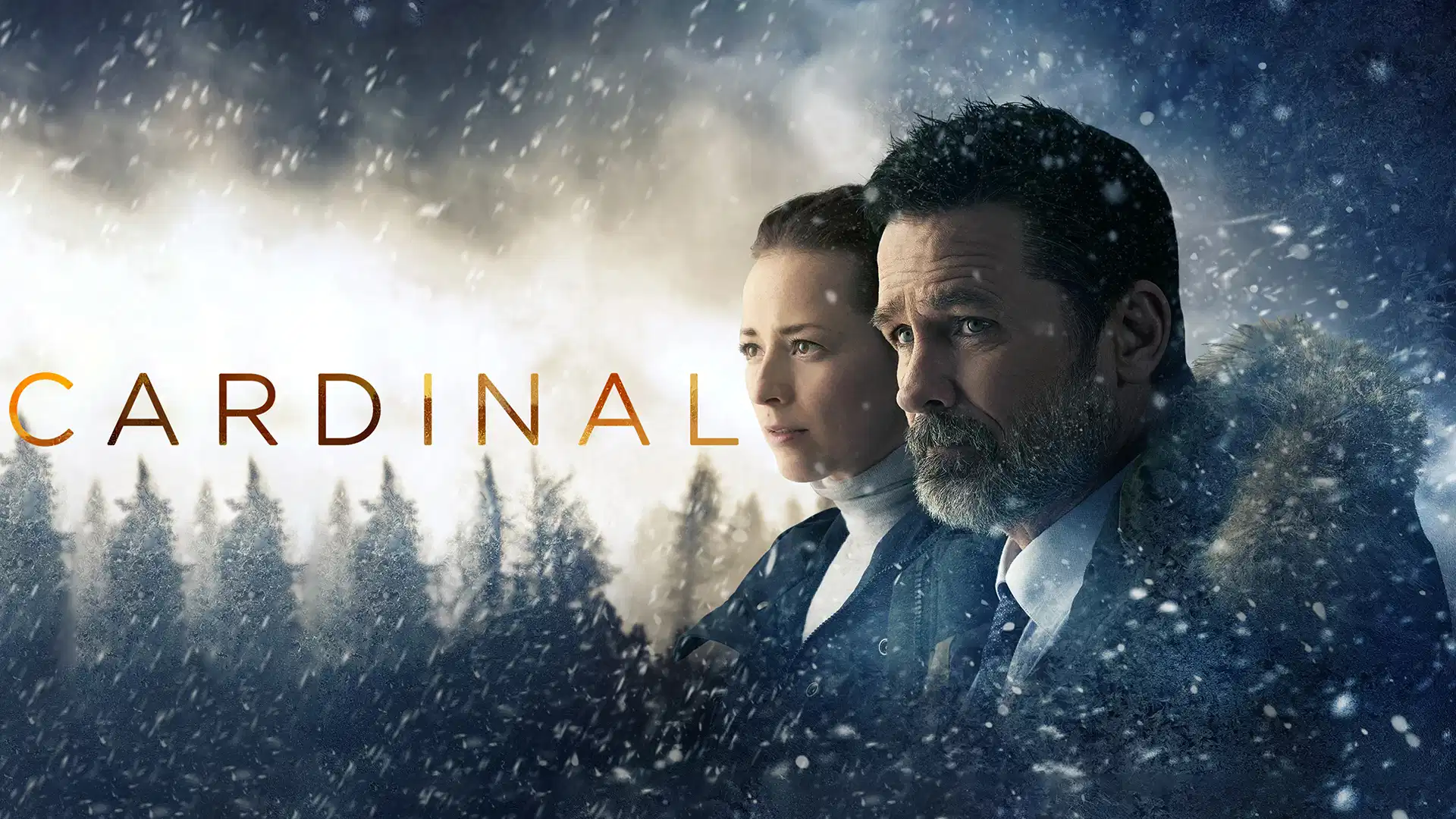 Al momento stai visualizzando Cardinal: il crime nordico… ma canadese, cupo e senza compromessi